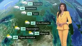 Смотреть видеопрогноз погоды на 20.6.2023 погода на неделю, завтра, какая погода, НТВ, Звезда, ТВЦ