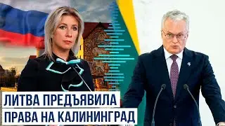 Президент Литвы назвал Калининград «исторически Литовским городом»