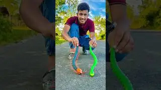 RC Snake V/S RC Centipede Scolopendra