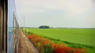 Overlooking the poppy meadows | Světlá n.Sázavou - Kutná Hora | Czech Republic