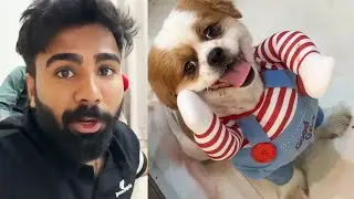 Jojo kya bangaya ye 😂