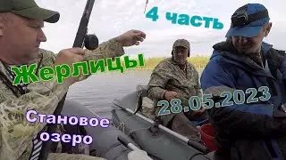 Fishing on the lake. Zherlitsy, spinning, fishing rod. May 29, 2023. Stanovoe. Nelenga.