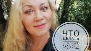 Что делать в ноябре 2024 года. Школа ЛадаЯнтра