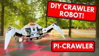 Astonishing DIY Spider Robot Walks Like Magic! Best Raspberry Pi DIY Quadrupped Robot Kit