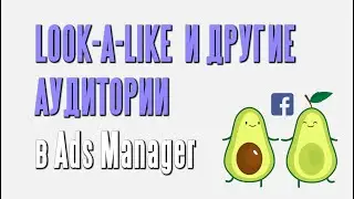 LOOK A LIKE или ПОХОЖАЯ аудитория в Instagram и Facebook.