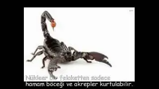Enteresan Bilgiler Serisi 2