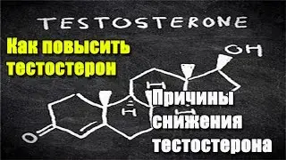 Как повысить тестостерон. Часть 2. Ожирение. Причины снижения тестостерона.