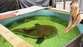 Girl Catches NEW MEGA MONSTER Fish!