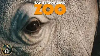 Starting an African Savannah in Franchise Mode! | San Bernardino Zoo | Planet Zoo