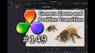 DaVinci Resolve Tutorial: How to Create a Zoom and Position Transition