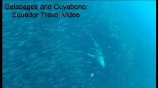 Ecuador Travel Video: Galapagos and Ecuadorian Amazon