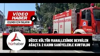 Düzce kültür mahallesinde devrilen ağaçta 2 kadın saniyelerle kurtuldu