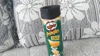 PRİNGLES KUTUSUNDAN YAPAY AM YAPIMI!