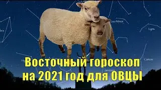 Восточный гороскоп на 2021 год для Овцы.