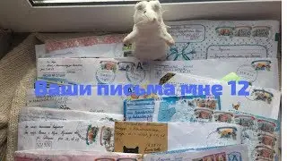 ВАШИ ПИСЬМА МНЕ 12