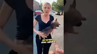 Спас щенка от сумасшедшей 😱