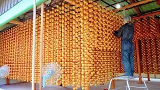 Beautiful Korean Traditional Dried Persimmon Manufacturing Process. Persimmon Mass Production Farm