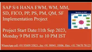 SAP S/4 HANA Implementation Project BPML Process discussion on 13th Sep 2023- Call +91 78670 78125