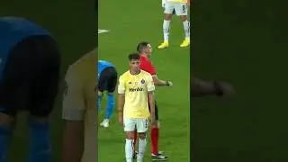DIOGO ÉS UMA PAREDE 🧱😱