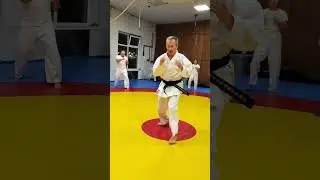 Гьяку цуки чудан. Asai Ryu karate Sevastopol. 