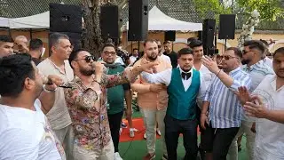Copilul de Aur ❌ Adi de Adi❌Sa iubesc fara cuvinte ❌ Manele Live