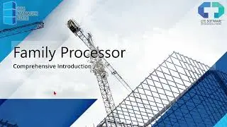A Comprehensive Introduction To Family Processor