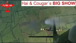 Hai & Cougars BIG SHOW (Spanglish) | WW2 Aviation | DCS World | Flying Hai