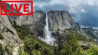 🌎 LIVE Yosemite National Park | Relaxing Nature Sounds