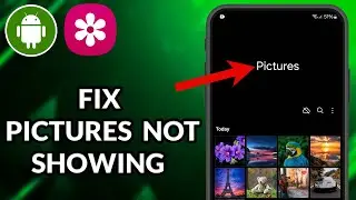 How To Fix Pictures Not Showing In Gallery Of Android Device