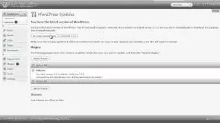 Learn Wordpress Tutorials - Updating Your Wordpress Blog