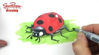 How to draw a cute ladybug - ladybird