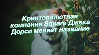 Криптовалютная компания Square Джека Дорси меняет название