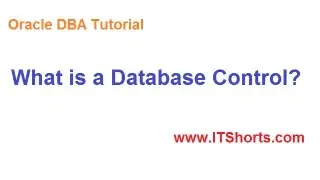 What is a Database Control - Database Tutorial 44 (Oracle DBA tutorial)