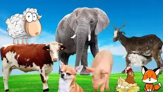 Cute little animals: dog, chicken, rabbit, cow, horse,...