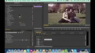 How to create OLD FILM Effect - Premiere Pro CC