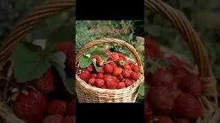 что можно купить в СССР за 5 рублей, часть 3,1975 год