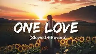 Shubh - One Love (Slowed + Reverb)