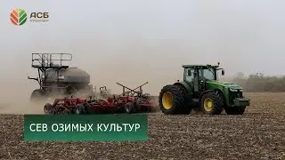 Ситуация на рынке сельхозпродукции/Цена на пшеницу, кукурузу, подсолнечник/Сев озимой пшеницы