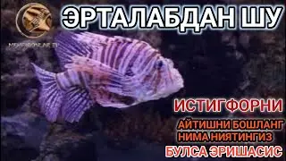 Эрталабки дуо! Ризқни кенг килиб муаммолар ечилсин ИНШААЛЛОХ.
