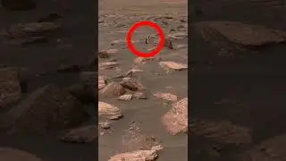 NASA - MARS - Curiosity - This image was taken by Mars. rover Curiosity 