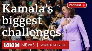 US Election: Can Kamala Harris beat Donald Trump? - The Global Story podcast, BBC World Service