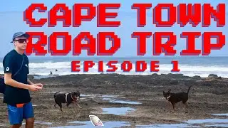 I Took A Trip To Cape Town, Here's How It Started