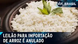 Governo anula leilão para importação de arroz e nova licitação não tem data | SBT Brasil (11/06/24)