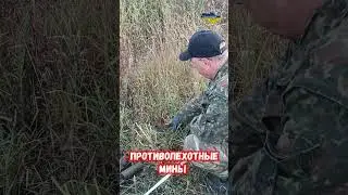 ПОМ-2, ПМН-4. Противопехотные мины 