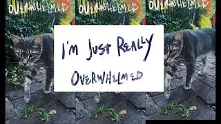 GRLwood - Overwhelmed lyric video (offical)