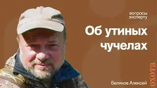 Охота на уток. Алексей Беляков о том, какие бывают чучела.