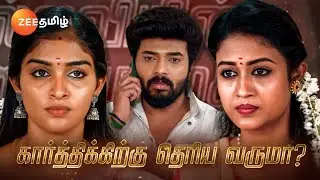 Karthigai Deepam (கார்த்திகை தீபம்) - தினமும் இரவு 9 மணிக்கு - 12 Dec 23 - Promo - Zee Tamil