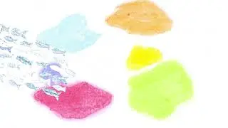 star fish