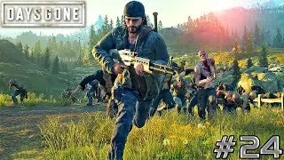 DAYS GONE - Collecting Medicine - Walkthrough GamePlay 4K - Part 24