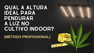 Você Sabe a ALTURA Ideal para Pendurar a Luz no CULTIVO INDOOR? (medindo PPFD)